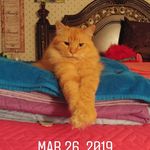 Debra Ann Bales - @dabales1965 - Instagram