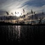 debra bales - @deb888111 - Instagram