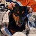 Deborah Ballentine York - Facebook