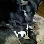 Debra Barlow - @debra.barlow13 - Instagram
