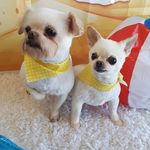 Debra Barron - @debra.barron.1217 - Instagram