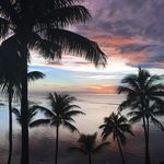 Debra Barron - @debra.barron - Instagram