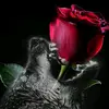 Debra Barron - @debrabarron2 - TikTok