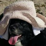 Debra Barron-Lindsey - @debra.barronlindsey - Instagram