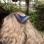 Debra Barry - @tigerlady2068 - Instagram