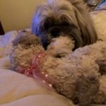 @bartholomew_debra - Instagram