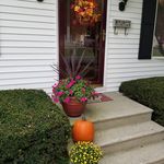 Debra Benford - @bartleydebra - Instagram