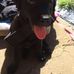 Debra Baxter - Facebook