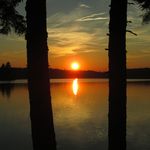 Debra Baxter - @gardening_yoga - Instagram