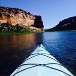 Debra Baxter - @debra.baxter - Instagram