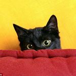 Debra Bean - @bean_debra - Instagram