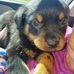 Debra Bean - Facebook