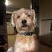 Debra Bean - Facebook