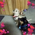 debra beard - @skipper847 - Instagram