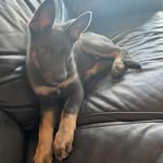 Debra Beaudry - @debbeaudry - Instagram