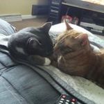 Debra Moore-bechtel - @moorebechtel - Instagram