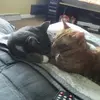 debramoorebechtel - @debramoorebechtel - TikTok