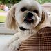 Debbie Bedard - Facebook