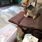 Debra Louise Benge - @debrabenge - Instagram