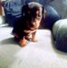 Debra Bentley - Facebook