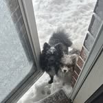 Deborah Bergeron - @dbergeron69 - Instagram