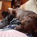 Debra Bergeron - Facebook