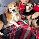 Debra Berkowitz - @debberko60 - Instagram