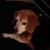 Debra Berkowitz - Facebook