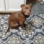 Debra Berkowitz Dempsey - @debra_dempsey8 - Instagram