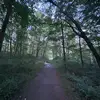 devraberkowitz - @devraberkowitz - TikTok