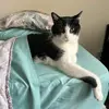 Debra Billy - @debra.billy - TikTok