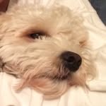 Debra Bingham - @debra1770 - Instagram