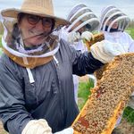 Debra Boronski - @quarrypondfarm - Instagram