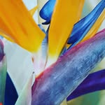 Debra Bounds - @dbounds18 - Instagram
