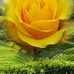 Deb Bourgeois - Facebook