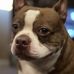 Debra Bourgeois - Facebook