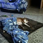Debra Bourgeois - @debrabourgeois - Instagram