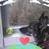 Debra Bourgeois Ruo - @debra.bourgeois.r - TikTok