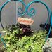 Debra Bourque - Facebook
