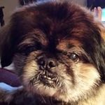 Debra Bowling - @bowling_debra - Instagram