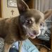 Debbie Bramlett - Facebook