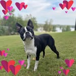 Brent-Debra Banks - @brent.n.debra - Instagram