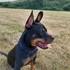 debrabrenton - @debrabrenton - TikTok