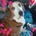 Debra Brink - Facebook