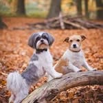 Debra Brough - @broughdebra - Instagram