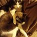 Debbie Brummett - Facebook