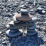 Deborah Bryson - @whatclientsteachme.ca - Instagram