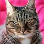 debra bryson - @debrabryson1966 - Instagram