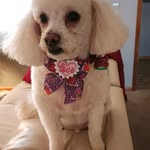 Debra Buchanan - @imdebra10 - Instagram