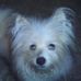 Debra Buck - Facebook